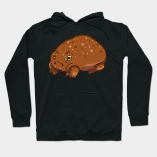 African Rain Frog Hoodie